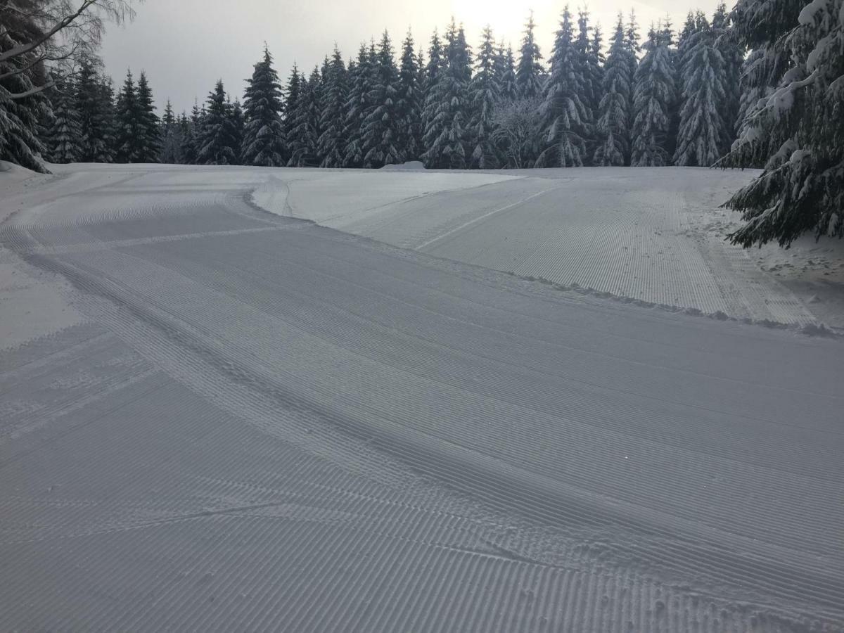Penzion U Rybnika Mariánská Bagian luar foto