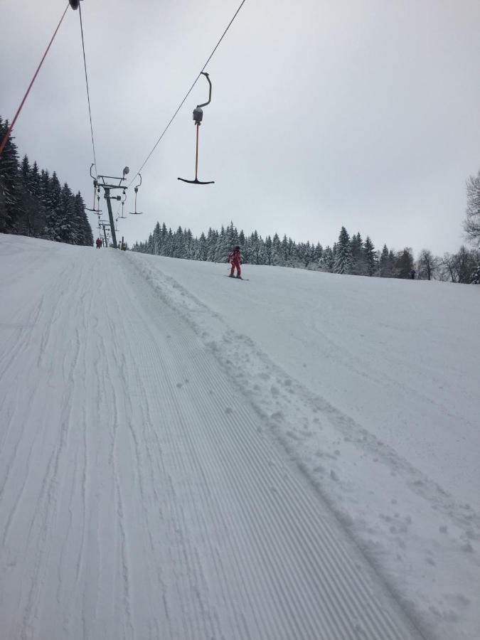 Penzion U Rybnika Mariánská Bagian luar foto